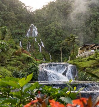 Pasadía termales de santa rosa de cabal y filandia