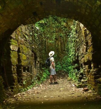 Pasadía ciudad perdida de falan desde ibagué