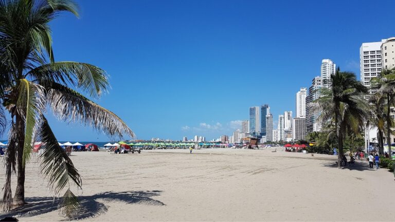 Excursión: Isla Barú, Cartagena Bocagrande y Barranquilla