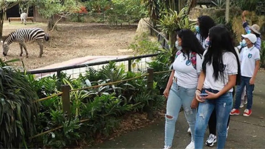 zoologico de cali y parque acuático de las cañas