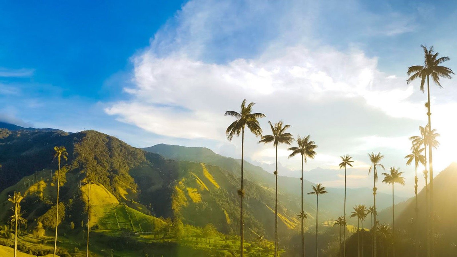 14bfc21a0137385e65e83d21a3949ef71maragar