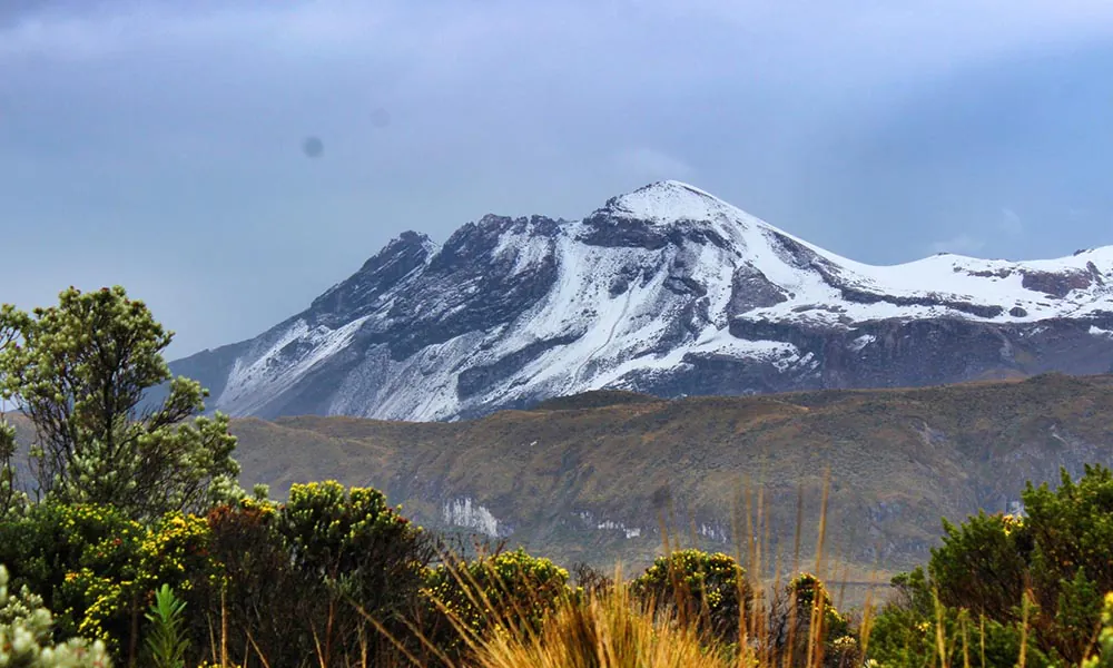 Pasadía parque de los nevados