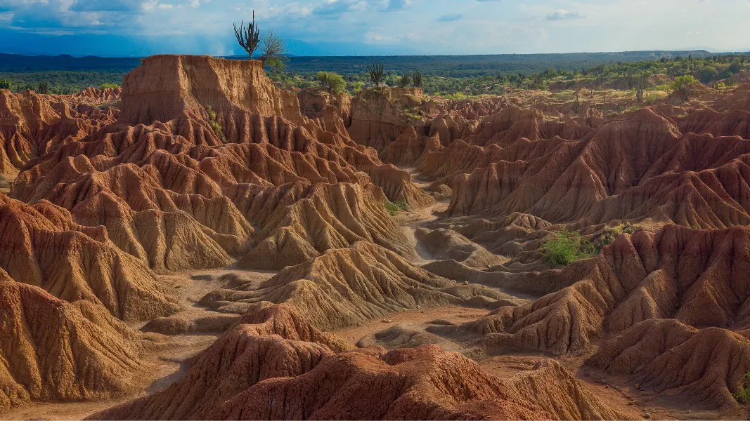 Pasadía: Desierto la Tatacoa y Avistamiento de Estrellas