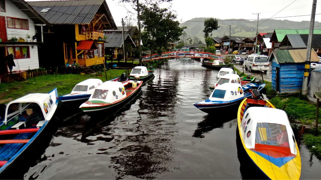 Excursión: Sur de Colombia Naturaleza, Cultura y aventura en un Solo Viaje desde Ibagué
