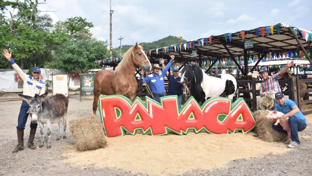 Pasadía a Panaca desde Ibagué: Vive una experiencia única con naturaleza y diversión en familia